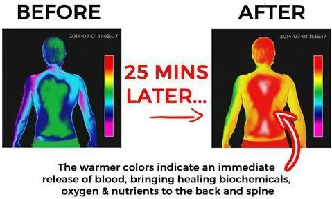 Amazing Herbal Ginger Patch