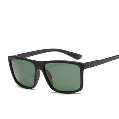 Polaroid Designer Sunglasses