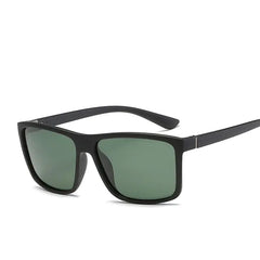 Polaroid Designer Sunglasses