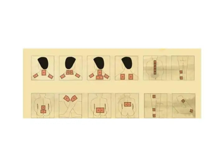 Amazing Herbal Ginger Patch