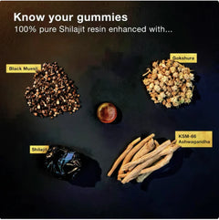 Himalayan Shilajit Gummies w Ashwagandha & Gokshura