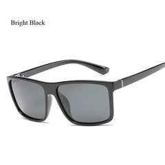Polaroid Designer Sunglasses