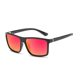 Polaroid Designer Sunglasses