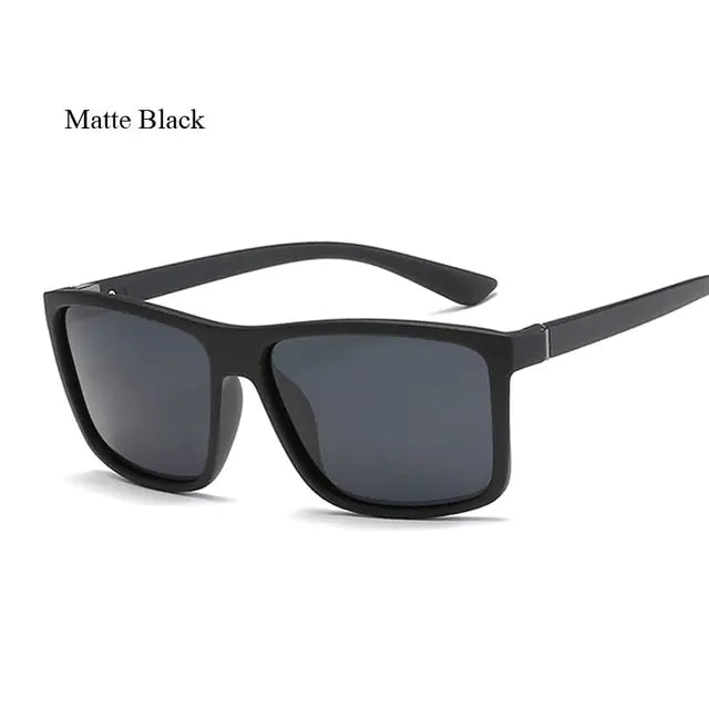 Polaroid Designer Sunglasses