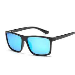 Polaroid Designer Sunglasses