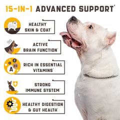 15-in-1 Dog Multivitamin Supplements