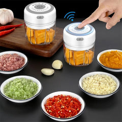 Mini Electric Food Crusher