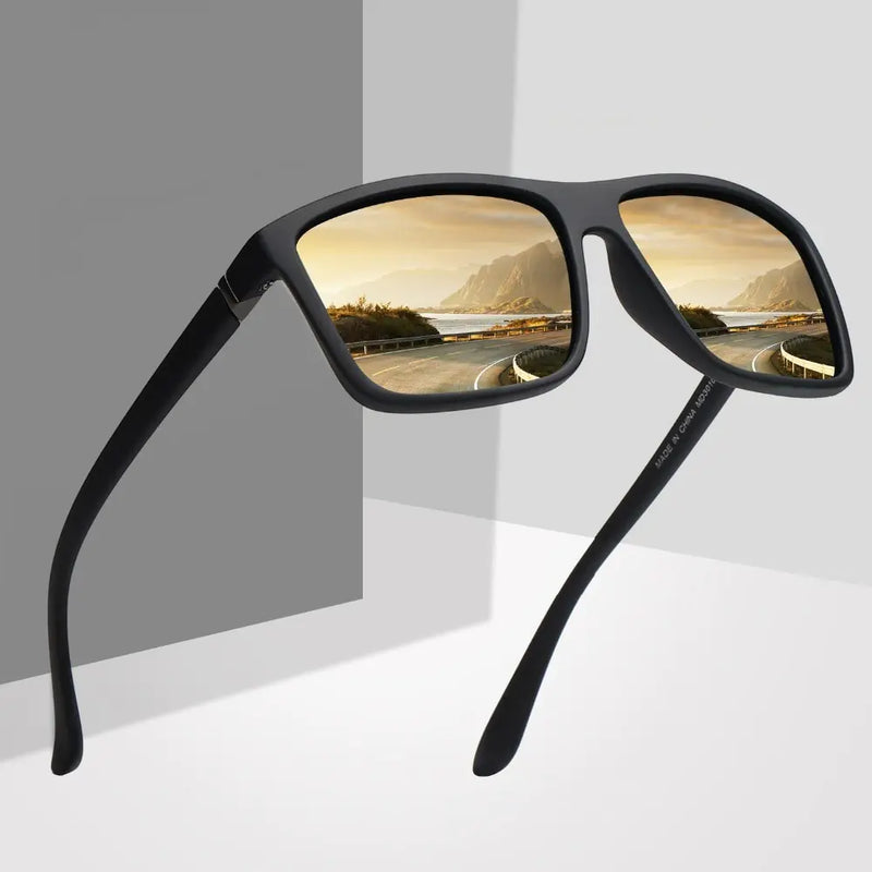 Polaroid Designer Sunglasses