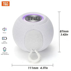 Mini Wireless Outdoor Speaker