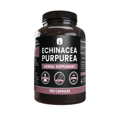 Pure Echinacea Purpurea - 365ct