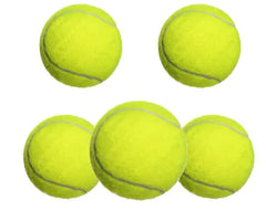 MatchBuddy™ Pickleball Trainer for Beginners