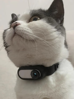 Wireless Pet Collar+Camera for Cats & Dogs