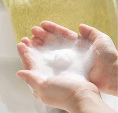 Foaming Soap Dispenser w Liquid Soap Pump