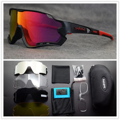 High-Performance Polarized Cycling Glasses