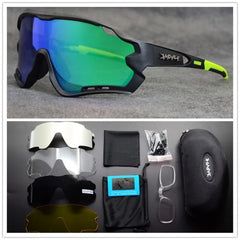 High-Performance Polarized Cycling Glasses