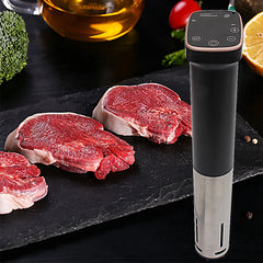 Stainless Steel Sous Vide Cooker