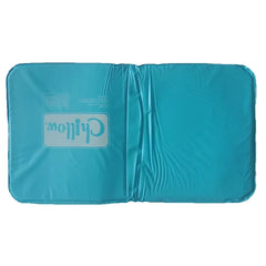 Cooling Gel Pillow