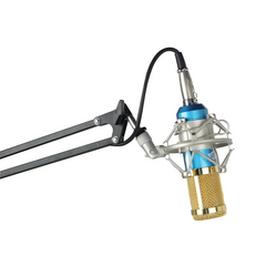 BM800 Condenser Microphone for Mobile & PC Recording