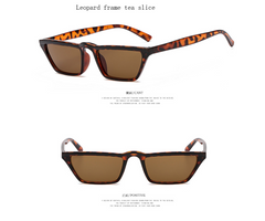 Retro Eyebrow-Framing Sunglasses