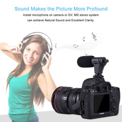 Mini-Microphone for Mobile & Music Recording