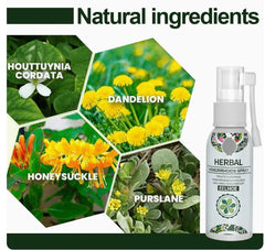Anshu Herbal Essence Wellness Spray