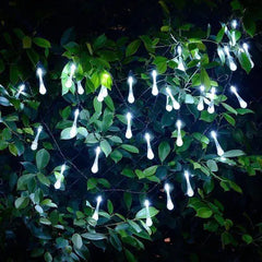 Solar Garden Lights