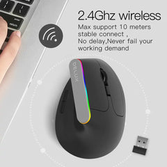 Ergonomic 6D Wireless Mouse